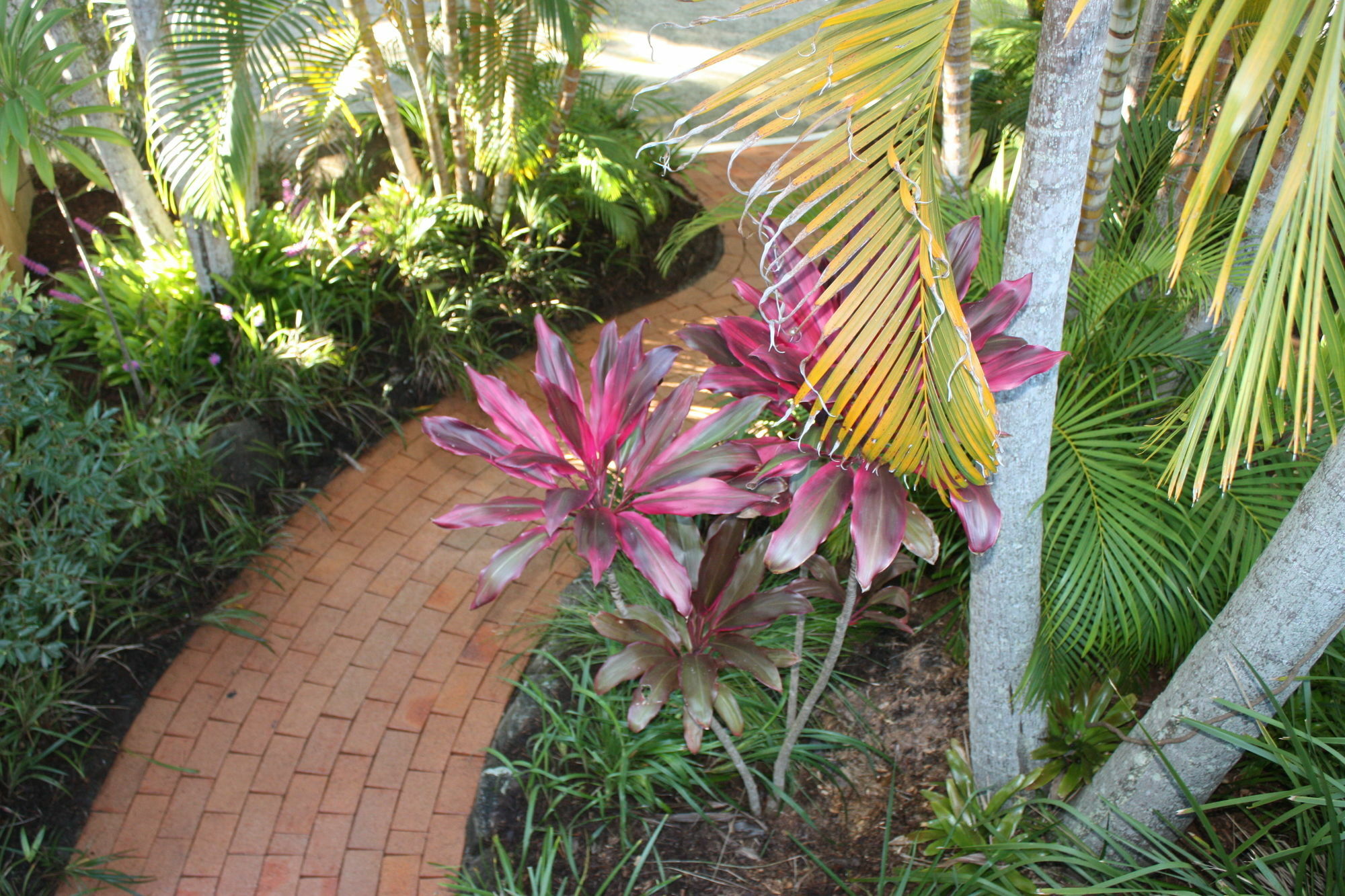 Mariner Bay Apartments Byron Bay Esterno foto